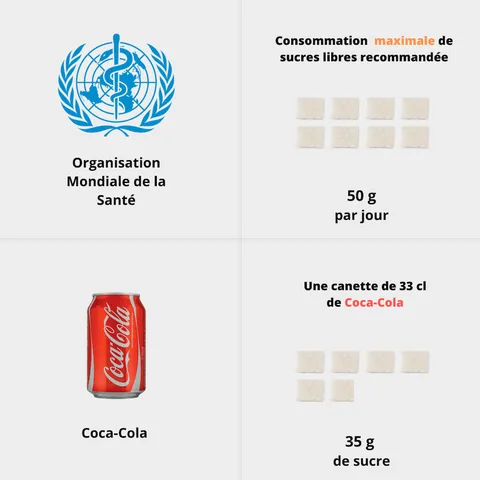 Quantité de sucre recommandée par l'OMS comparée à une canette de Coca-Cola
