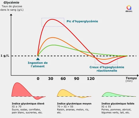Graphiques des indices glycémiques faibles, moyens et élevés suite à l'ingestion d'aliments