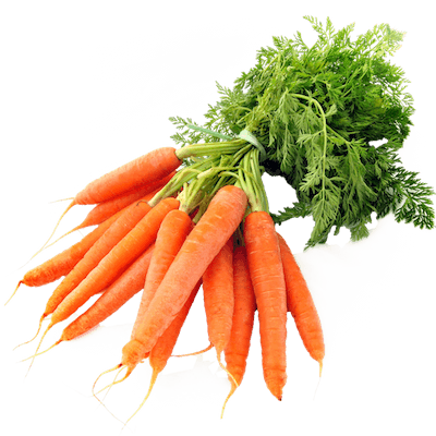 Carotte