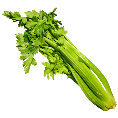 Céleri-branche