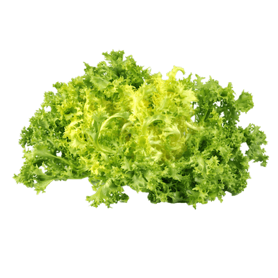 Frisée
