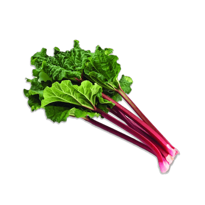Rhubarbe
