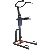 Chaise romaine Power Tower Bh Fitness