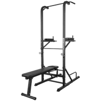 Chaise romaine Station Multifonction Banc Gorilla Sports