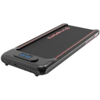 CITYSPORTS WP8