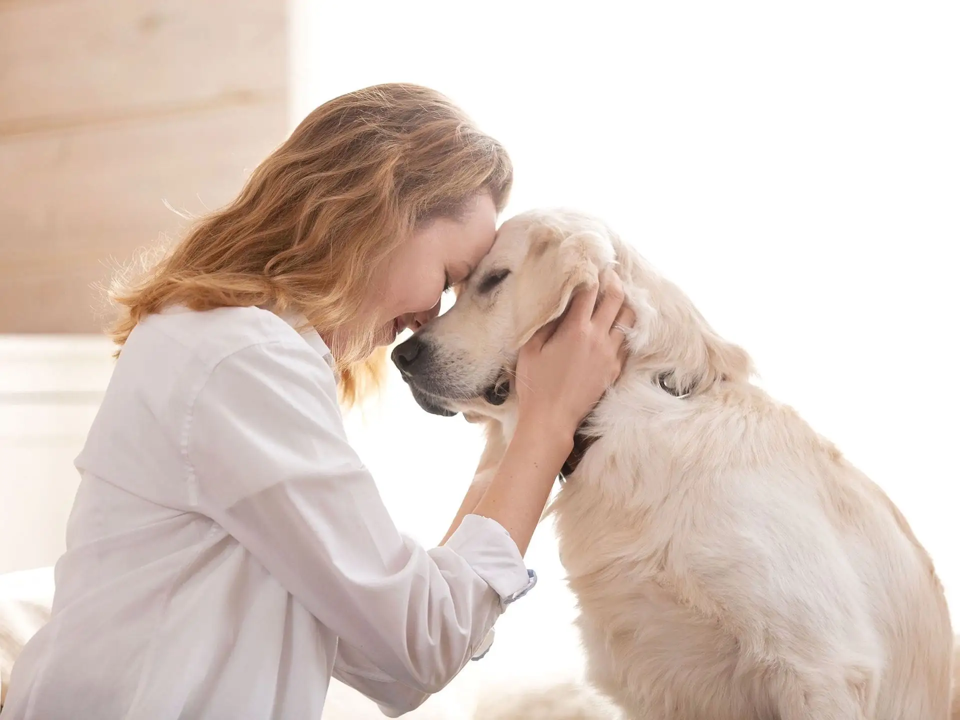 Une femme blonde et son golden retriever tête à tête