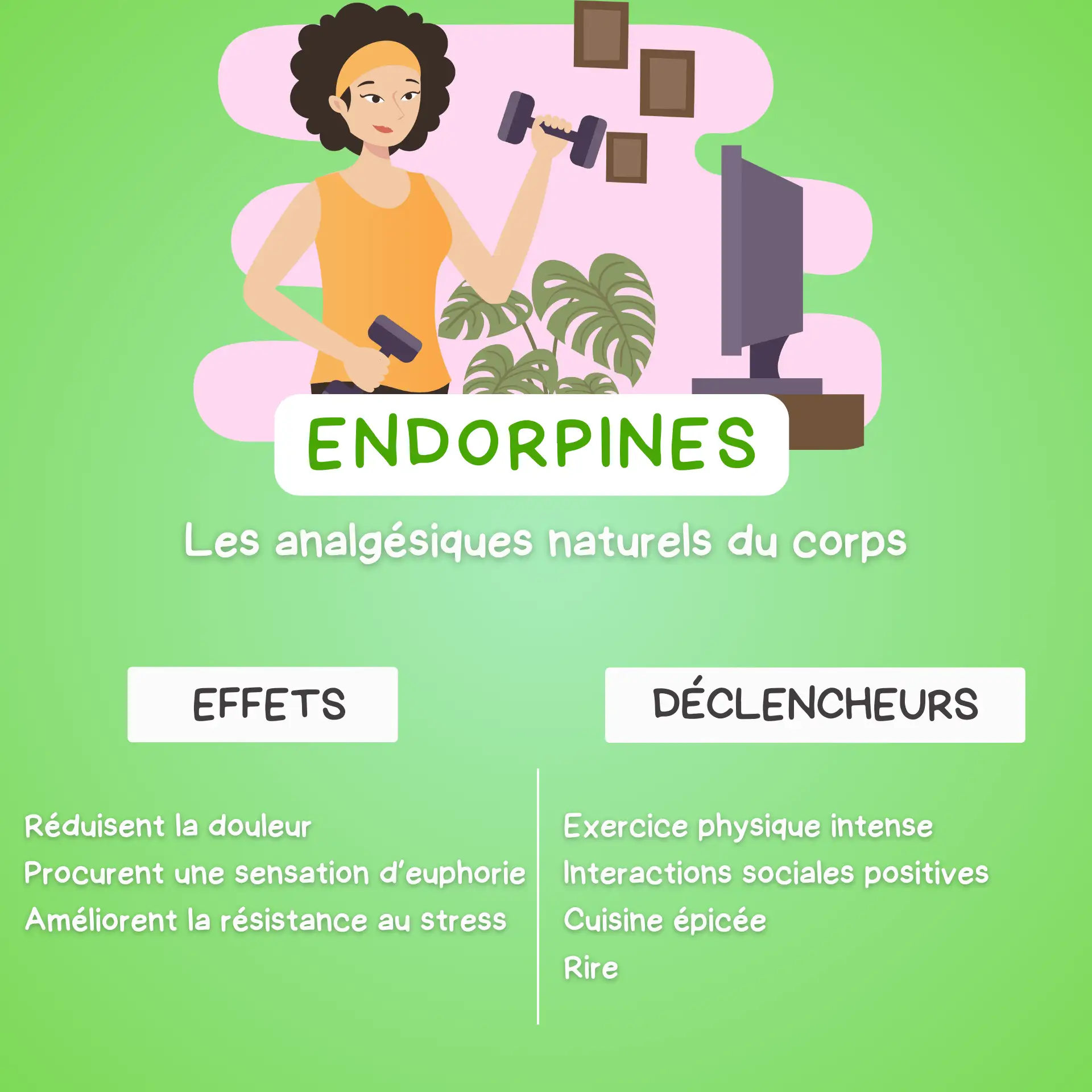 Visuel sur les effets et origines des endorphines