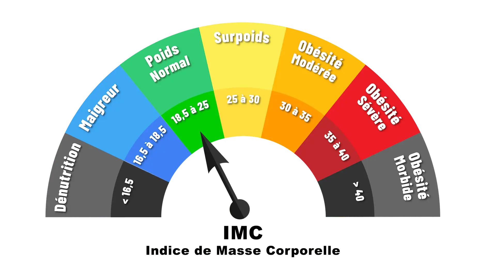 Demi cercle avec les valeurs de l'IMC et leur signification