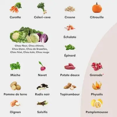 Vignette des fruits et légumes de Février