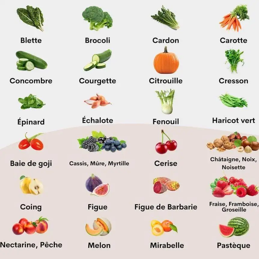 Vignette des fruits et légumes de Septembre