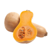 Courge Butternut