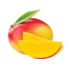 Mangue