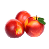 Nectarine