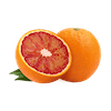 Orange Sanguine